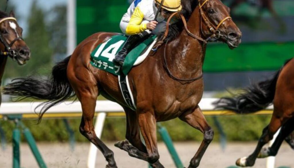 kanate-pu-カナテープ