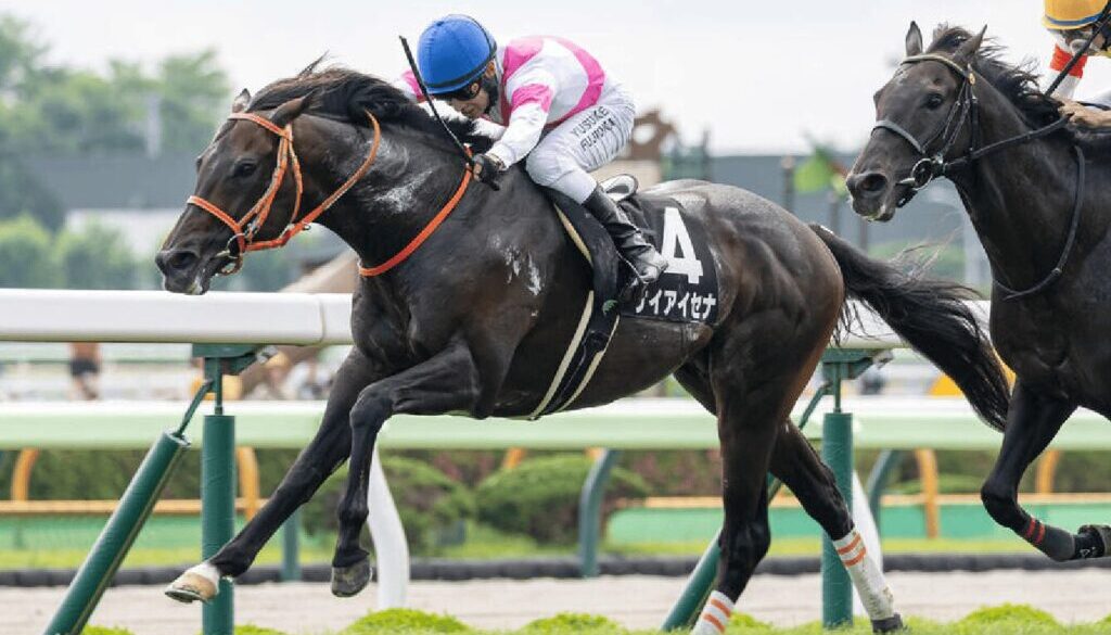 keiaisena ケイアイセナ