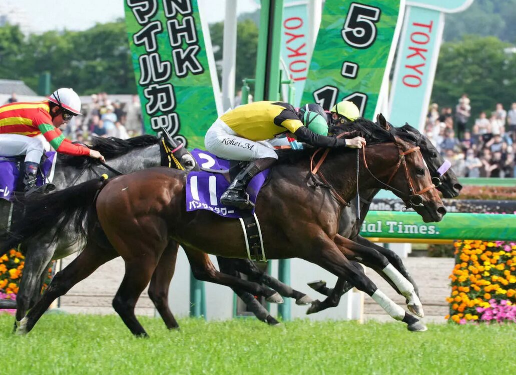 NHKマイルC　2025-5-11