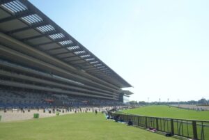 東京競馬場　ヴィクトリアマイル