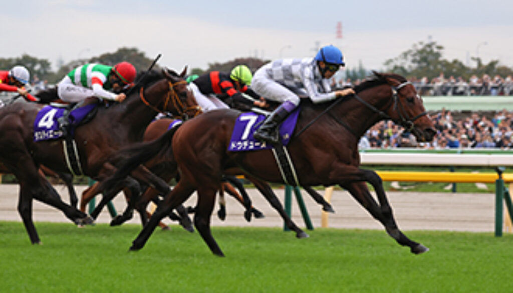 東京１１レース